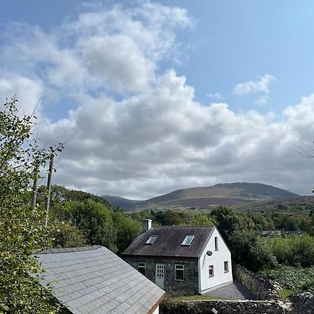 Bryn Rhedyn Cottage Cwm-y-glo Dış mekan fotoğraf