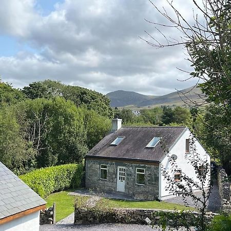 Bryn Rhedyn Cottage Cwm-y-glo Dış mekan fotoğraf