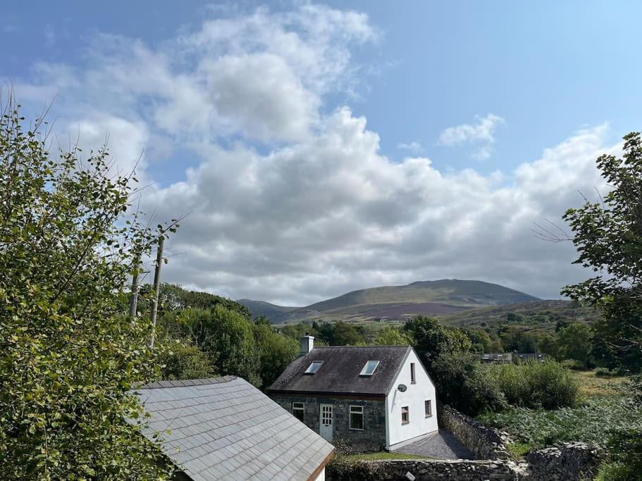 Bryn Rhedyn Cottage Cwm-y-glo Dış mekan fotoğraf