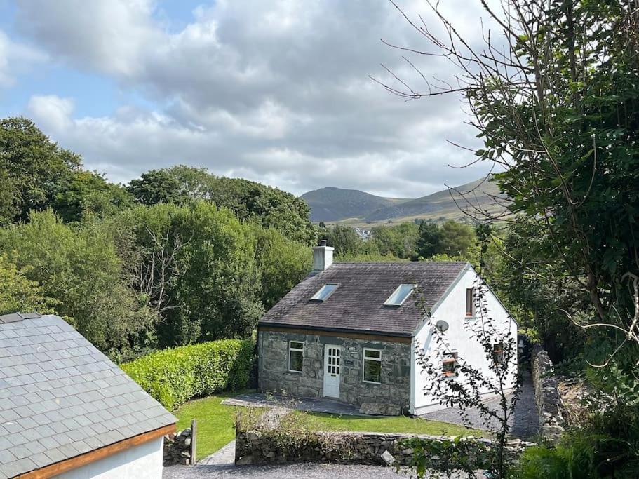 Bryn Rhedyn Cottage Cwm-y-glo Dış mekan fotoğraf