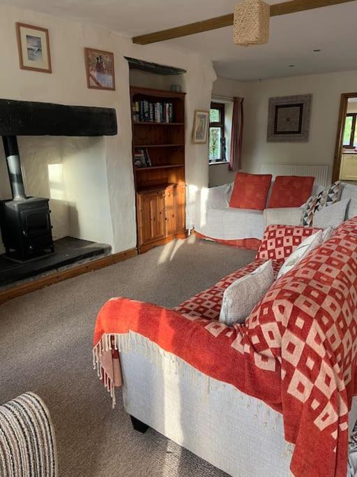 Bryn Rhedyn Cottage Cwm-y-glo Dış mekan fotoğraf