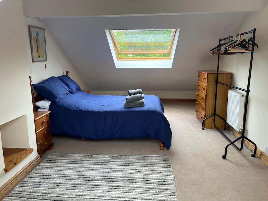 Bryn Rhedyn Cottage Cwm-y-glo Dış mekan fotoğraf