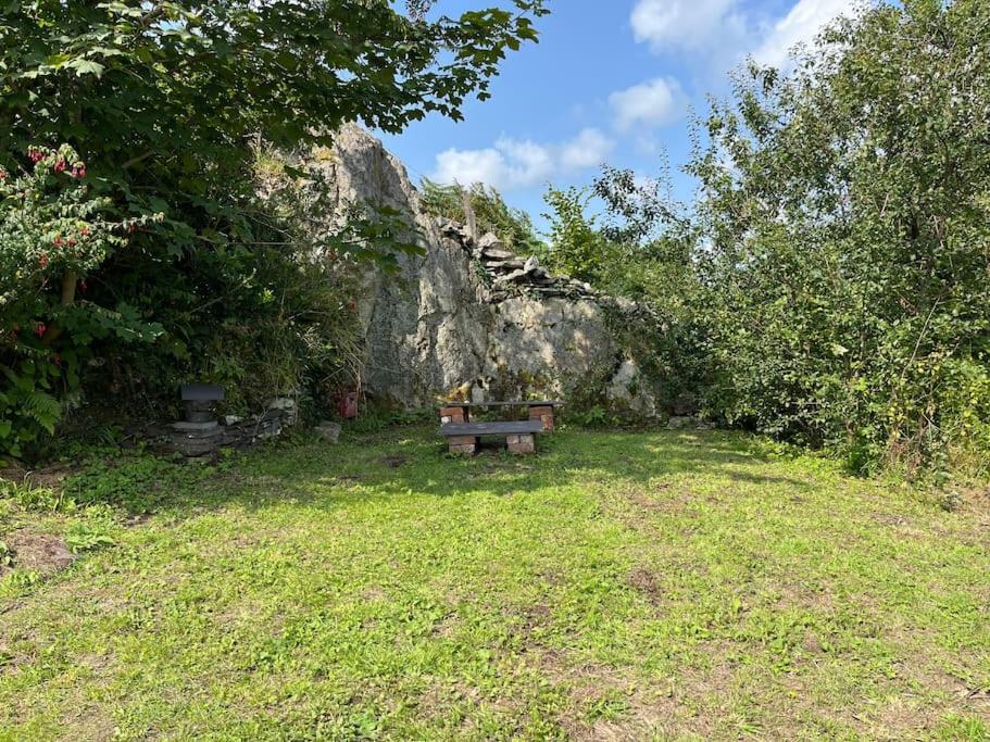 Bryn Rhedyn Cottage Cwm-y-glo Dış mekan fotoğraf