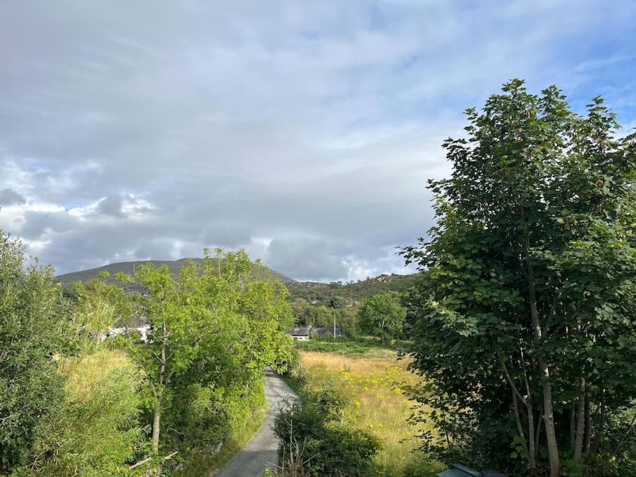 Bryn Rhedyn Cottage Cwm-y-glo Dış mekan fotoğraf